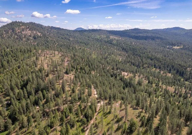 Photo 3 of Land for sale at 4589 Strange Way, Springdale, WA 99173 | MLS# 202617996 | Listing updated on 2026-09-21