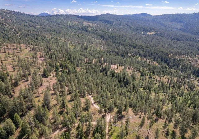 Photo 3 of Land for sale at 4589 Strange Way, Springdale, WA 99173 | MLS# 202617996 | Listing updated on 2026-09-21