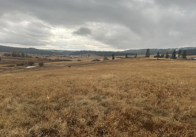 Homes for sale in Chattaroy, WA | 11707 E Tallman Rd, Chattaroy, WA 99003 | MLS# 202618049