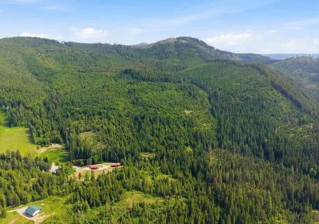 Photo 4 of Single family home for sale at 1240 Doe Meadow Rd, Newport, WA 99156 | MLS# 202618097 | Listing updated on 2026-10-09