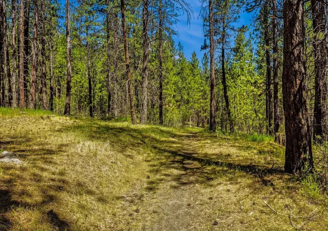 21st image of Nka N Chase Ln, Liberty Lake, WA 99019 | MLS# 202618117