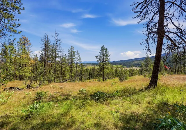 Photo 4 of Land for sale at Nka N Chase Ln, Liberty Lake, WA 99019 | MLS# 202618117 | Listing updated on 2026-10-22