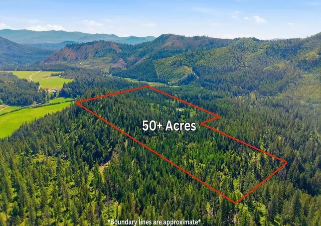 Homes for sale in Valley, WA | 4398k Deer Creek Rd, Valley, WA 99181 | MLS# 202618233