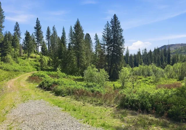 Homes for sale in Valley, WA | 4398k Deer Creek Rd, Valley, WA 99181 | MLS# 202618233