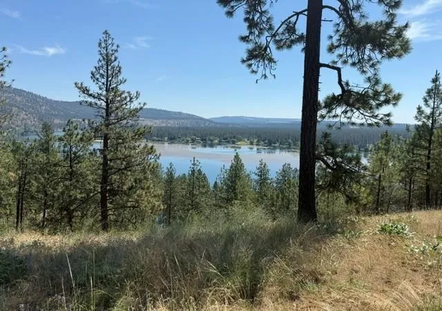 Homes for sale in Nine Mile Falls, WA | Lot 1 Long Lake Estates Wy, Nine Mile Falls, WA 99026 | MLS# 202618328