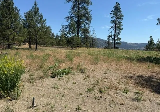 Homes for sale in Nine Mile Falls, WA | Lot 1 Long Lake Estates Wy, Nine Mile Falls, WA 99026 | MLS# 202618328