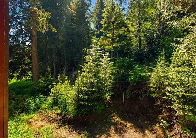 49th image of 2502 Greenhood Rd, Newport, WA 99156 | MLS# 202618358