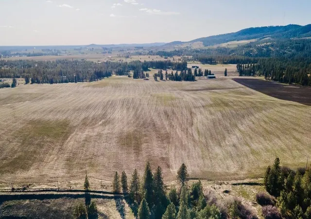1st image of 13507 E Gibbs Rd, Mica, WA 99023 | MLS# 202618429