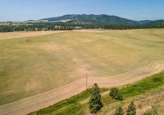 12th image of 13507 E Gibbs Rd, Mica, WA 99023 | MLS# 202618429