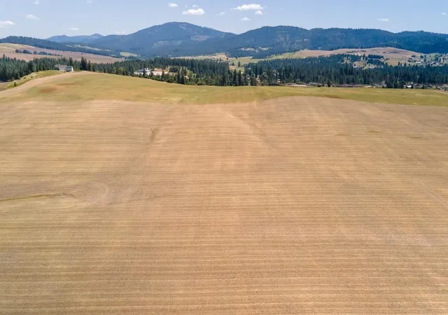 2nd image of 13507 E Gibbs Rd, Mica, WA 99023 | MLS# 202618429