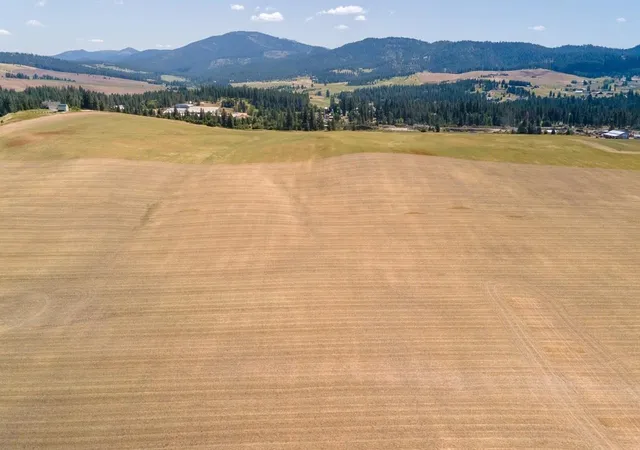 3rd image of 13507 E Gibbs Rd, Mica, WA 99023 | MLS# 202618429