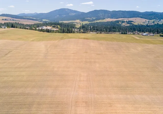 4th image of 13507 E Gibbs Rd, Mica, WA 99023 | MLS# 202618429