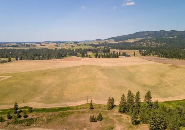 5th image of 13507 E Gibbs Rd, Mica, WA 99023 | MLS# 202618429