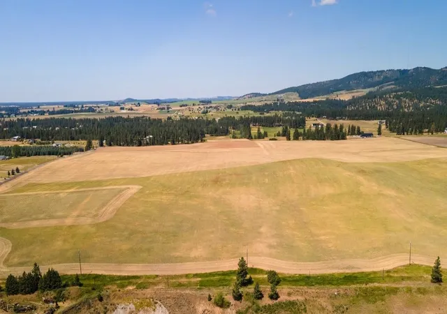 4th image of 13505 E Gibbs Rd, Mica, WA 99023 | MLS# 202618430