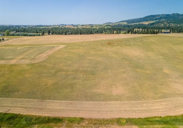 10th image of 13505 E Gibbs Rd, Mica, WA 99023 | MLS# 202618430