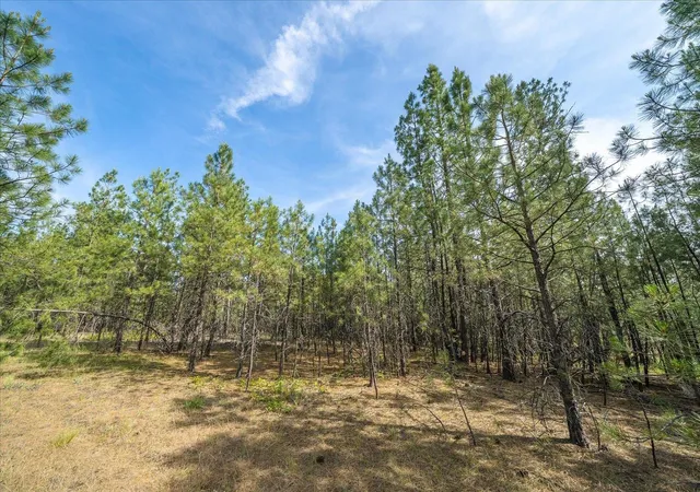 Homes for sale in Chattaroy, WA | 5123 E Chattaroy Rd, Chattaroy, WA 99003 | MLS# 202618448