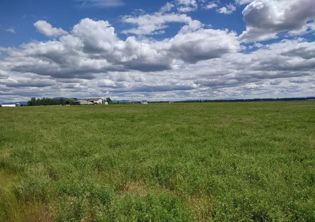 2nd image of X Mason Rd, Deer Park, WA 99006 | MLS# 202618490
