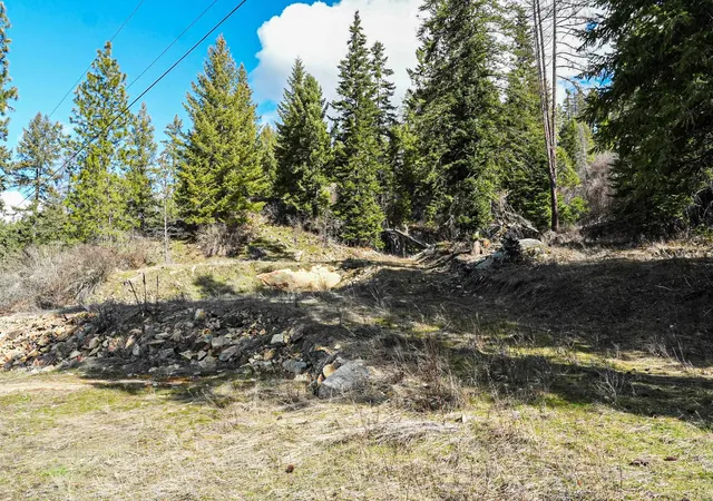 Homes for sale in Elk, WA | Xx Suther Ln, Elk, WA 99009 | MLS# 202618493
