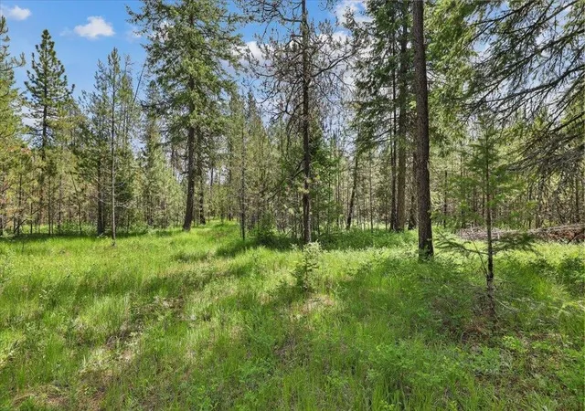 Photo 1 of Land for sale at 3804 Meadowlark Way, Loon Lake, WA 99148 | MLS# 202618505 | Listing updated on 2026-09-25