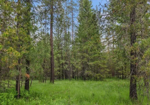 Land for sale at 3804 Meadowlark Way, Loon Lake, WA 99148 | MLS# 202618505