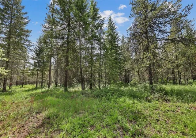 Photo 3 of Land for sale at 3804 Meadowlark Way, Loon Lake, WA 99148 | MLS# 202618505 | Listing updated on 2026-09-25