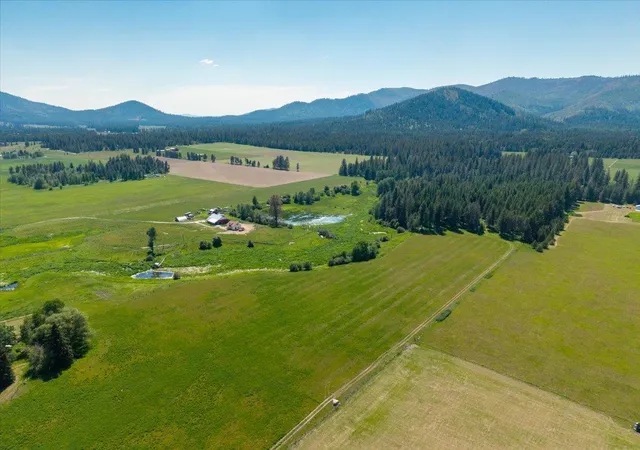 Homes for sale in Clayton, WA | 4668 Williams Valley Rd, Clayton, WA 99110 | MLS# 202618568