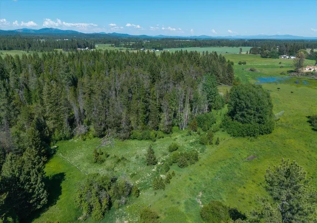 Homes for sale in Clayton, WA | 4668 Williams Valley Rd, Clayton, WA 99110 | MLS# 202618568