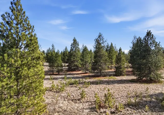 Photo 2 of Land for sale at 00 N Dover Rd, Medical Lake, WA 99022 | MLS# 202618629 | Listing updated on 2026-09-15