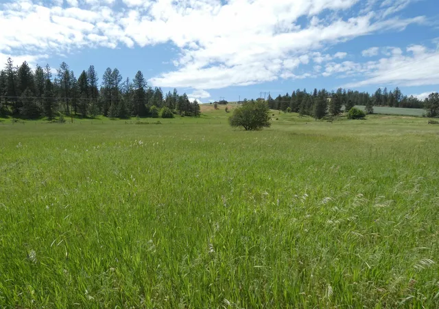 3rd image of 8309 W Jensen Rd, Cheney, WA 99004 | MLS# 202618633