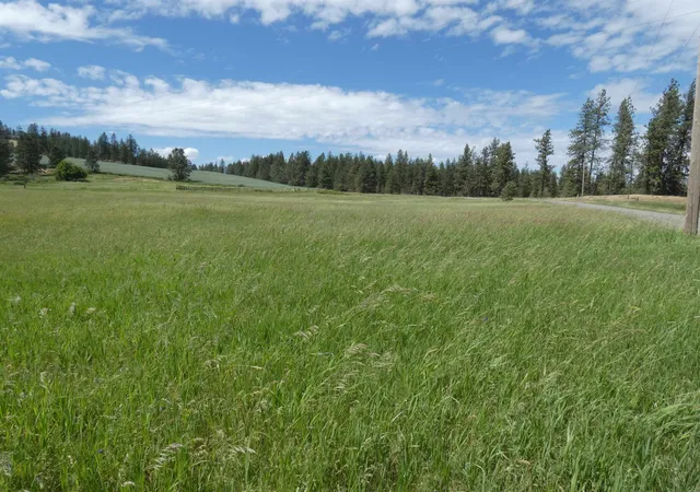 4th image of 8309 W Jensen Rd, Cheney, WA 99004 | MLS# 202618633