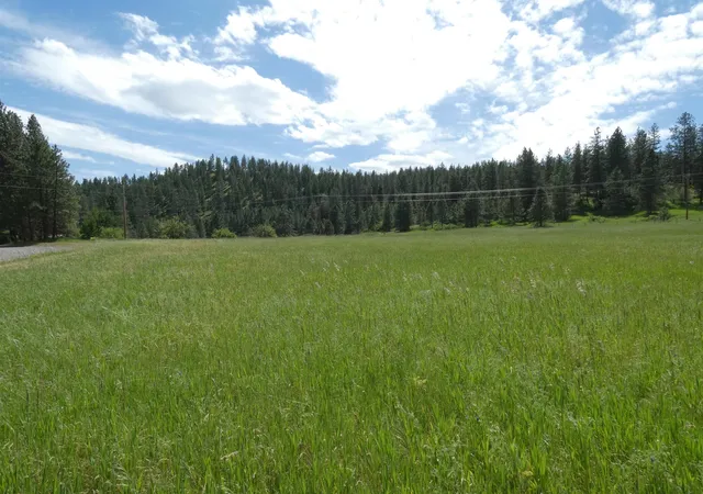 5th image of 8309 W Jensen Rd, Cheney, WA 99004 | MLS# 202618633