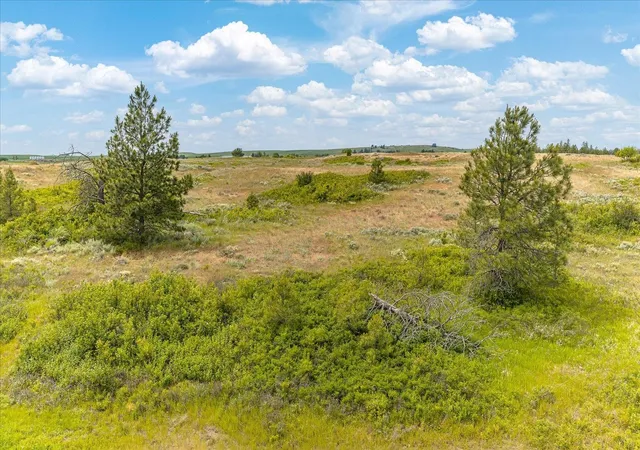 Homes for sale in Medical Lake, WA | 0 N Brooks Rd, Medical Lake, WA 99022 | MLS# 202618711