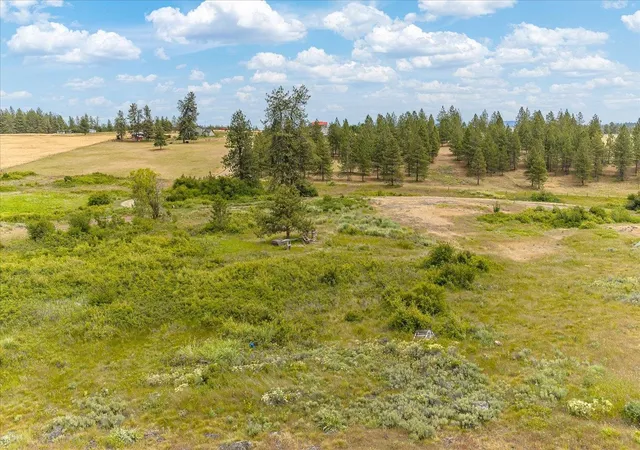 Homes for sale in Medical Lake, WA | 0 N Brooks Rd, Medical Lake, WA 99022 | MLS# 202618711
