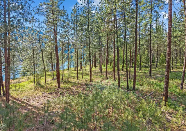 Photo 3 of Land for sale at 20xx Hofmeister Way, Evans, WA 99126 | MLS# 202618719 | Listing updated on 2026-09-26
