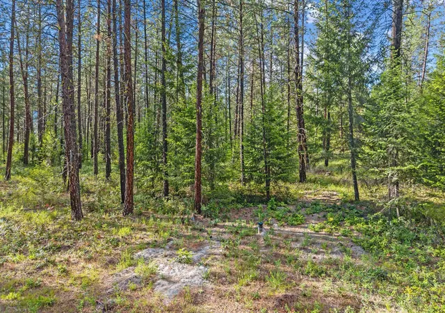 Homes for sale in Evans, WA | 20xx Hofmeister Wy, Evans, WA 99126 | MLS# 202618720
