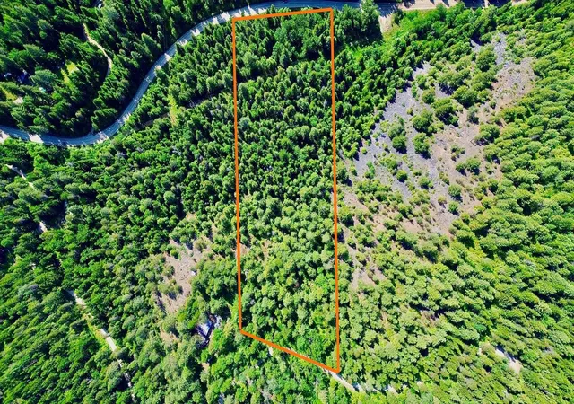 Homes for sale in Newport, WA | Nna Mccloud Creek Rd, Newport, WA 99156 | MLS# 202618799