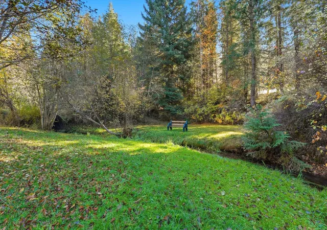 Homes for sale in Chattaroy, WA | 30324 N Elk Chattaroy Rd Rd, Chattaroy, WA 99003 | MLS# 202618812