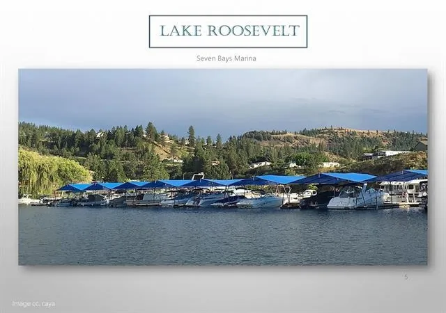 Homes for sale in Seven Bays, WA | 3312 Roosevelt Dr, Seven Bays, WA 99122 | MLS# 202618838