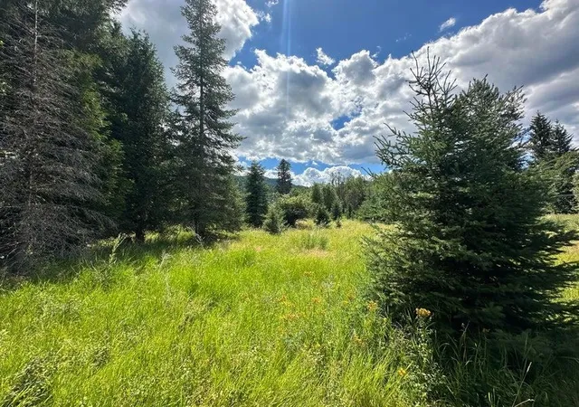 Photo 3 of Land for sale at (Undisclosed), Colville, WA 99114 | MLS# 202618886 | Listing updated on 2026-08-04