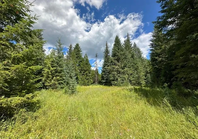 Photo 3 of Land for sale at (Undisclosed), Colville, WA 99114 | MLS# 202618886 | Listing updated on 2026-08-04