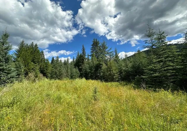 Photo 4 of Land for sale at (Undisclosed), Colville, WA 99114 | MLS# 202618886 | Listing updated on 2026-08-04