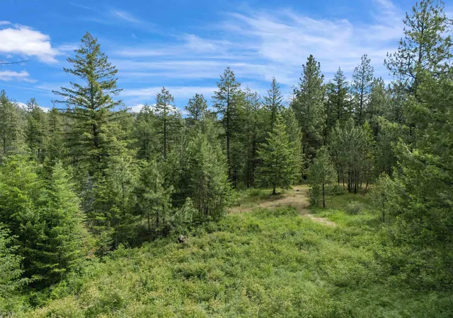 Photo 4 of Land for sale at 9630 S Sands Rd, Valleyford, WA 99036 | MLS# 202618910 | Listing updated on 2026-09-22