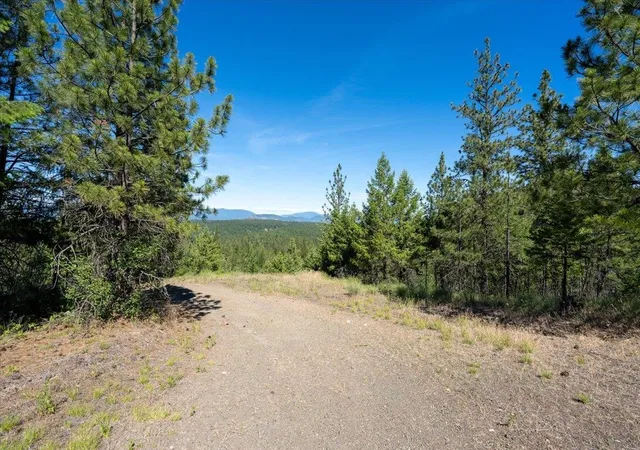 Homes for sale in Valley, WA | 3xxx Beitey Rd, Valley, WA 99181 | MLS# 202618914
