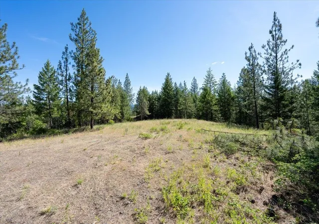 Photo 3 of Land for sale at 3xxx Beitey Rd, Valley, WA 99181 | MLS# 202618914 | Listing updated on 2026-09-01