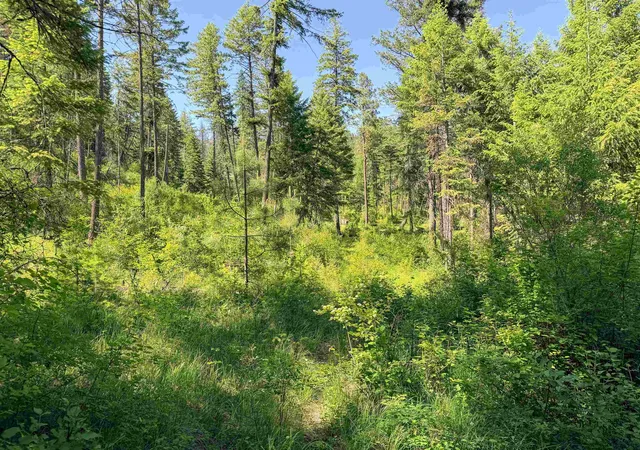 Homes for sale in Addy, WA | 2008 Tbd (a D) Summit Valley Rd, Addy, WA 99101 | MLS# 202618929