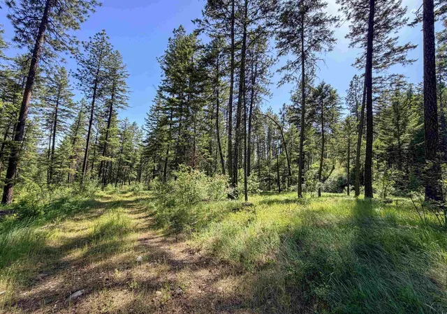 Homes for sale in Addy, WA | 2008 Tbd (a D) Summit Valley Rd, Addy, WA 99101 | MLS# 202618929