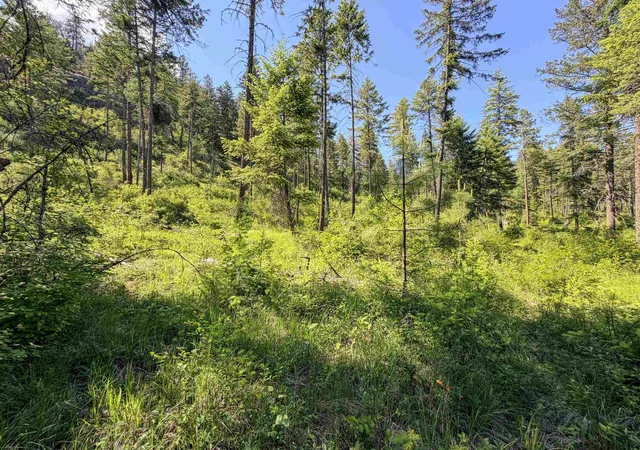 Homes for sale in Addy, WA | 2008 Tbd (a D) Summit Valley Rd, Addy, WA 99101 | MLS# 202618929