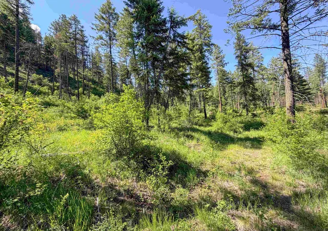 Homes for sale in Addy, WA | 2008-Tbd (A-D) Summit Valley Rd, Addy, WA 99101 | MLS# 202618929