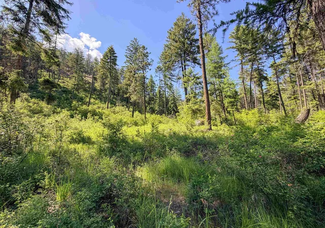 Homes for sale in Addy, WA | 2008-Tbd (A-D) Summit Valley Rd, Addy, WA 99101 | MLS# 202618929