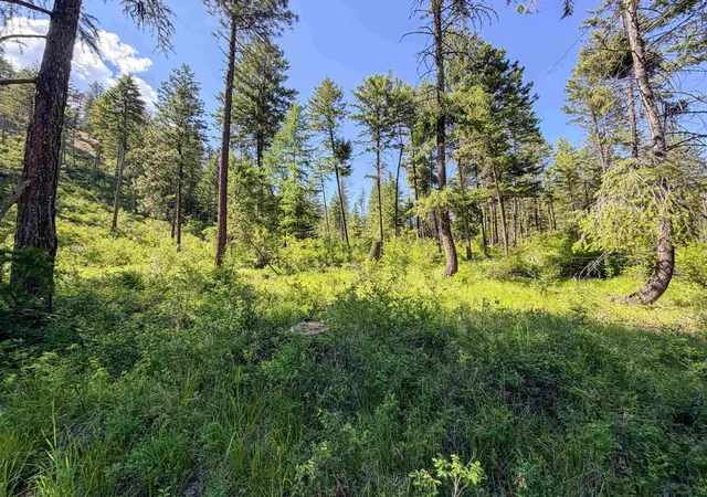 Homes for sale in Addy, WA | 2008-Tbd (A-D) Summit Valley Rd, Addy, WA 99101 | MLS# 202618929